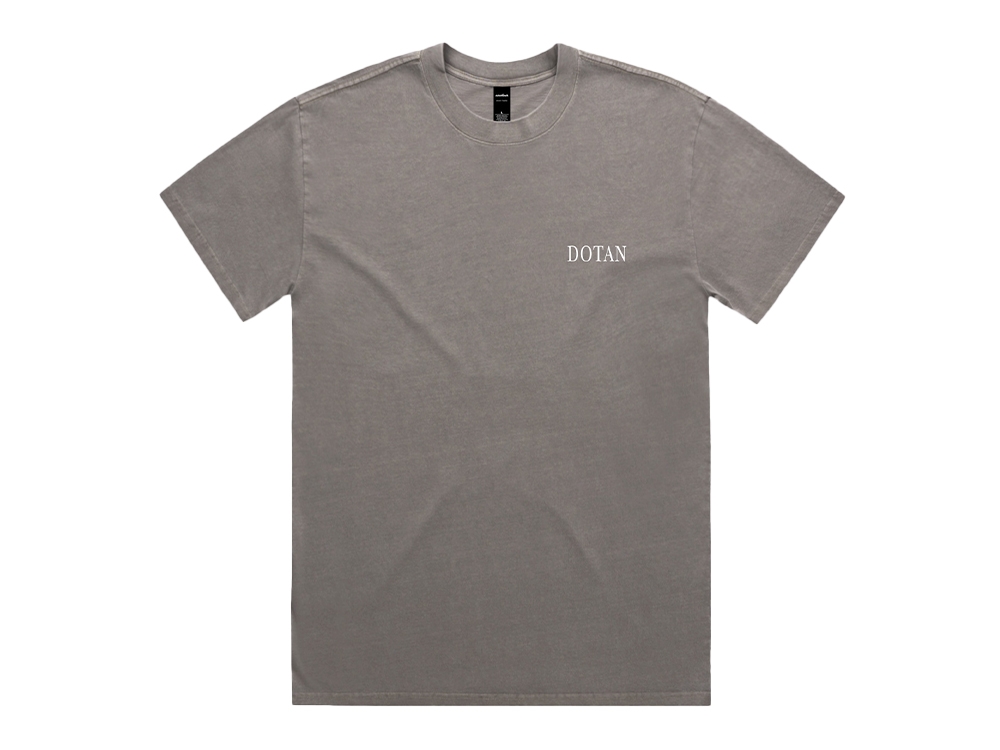 Last Goodbyes T-shirt Faded Grey